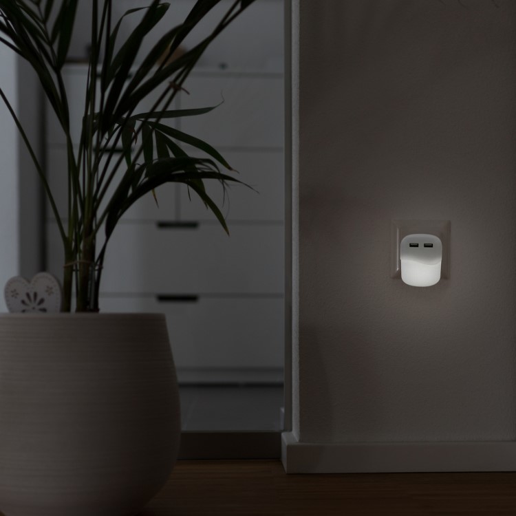 Night light with USB ports