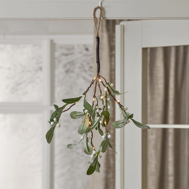 Mistletoe with lighting