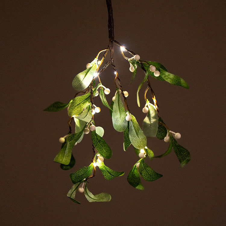 Mistletoe with lighting