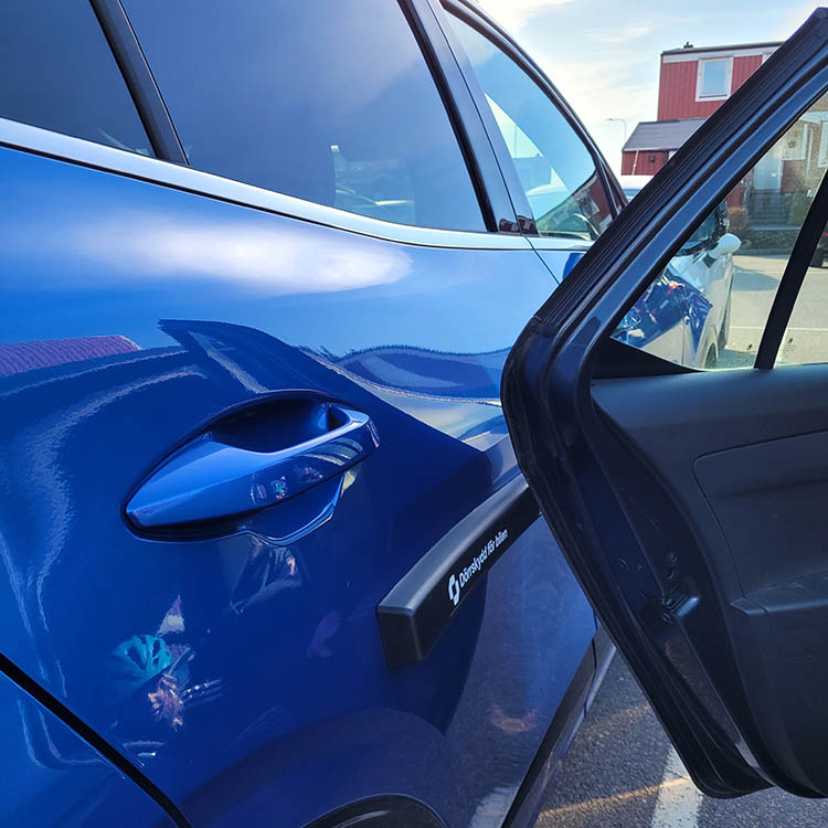 Magnetic door guards for the car