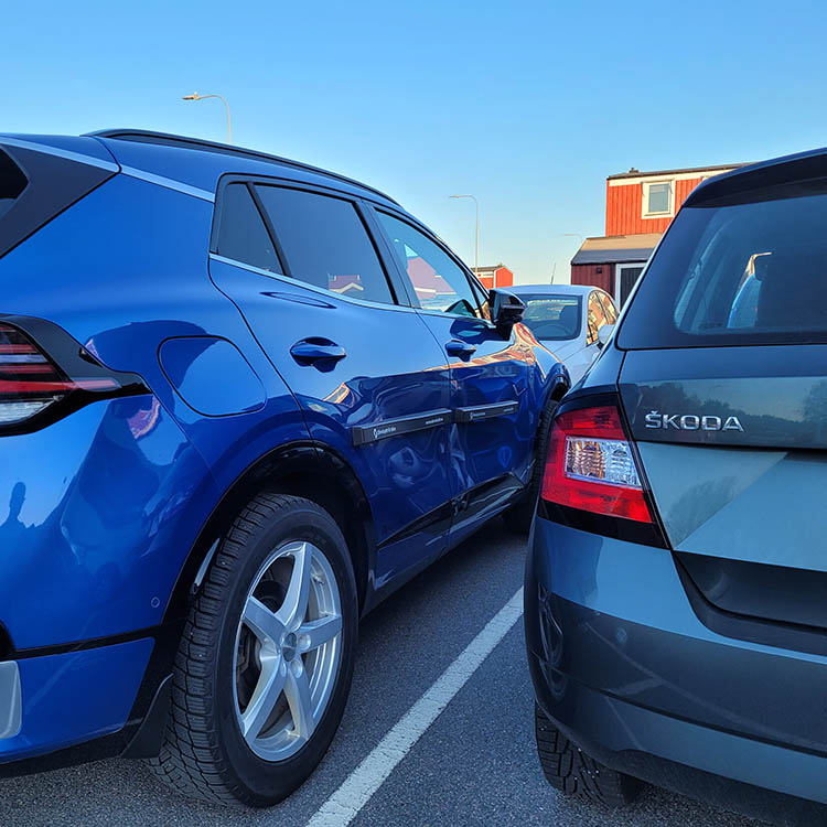 Magnetic door guards for the car