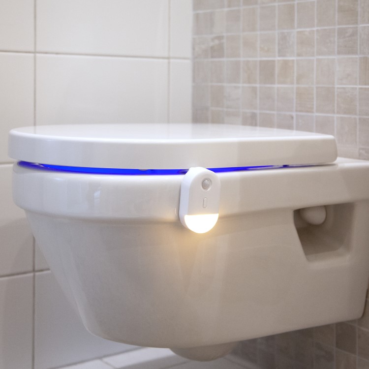 Toilet lamp with sensor