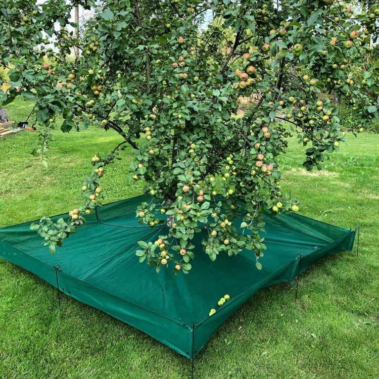 Harvesting nets for fruit trees