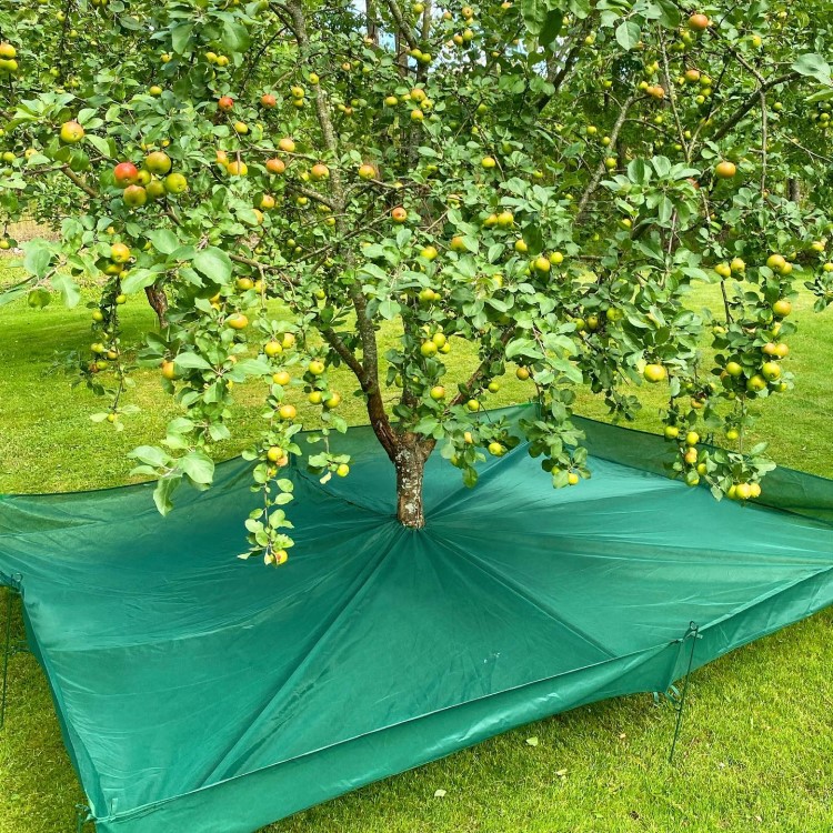 Harvesting nets for fruit trees