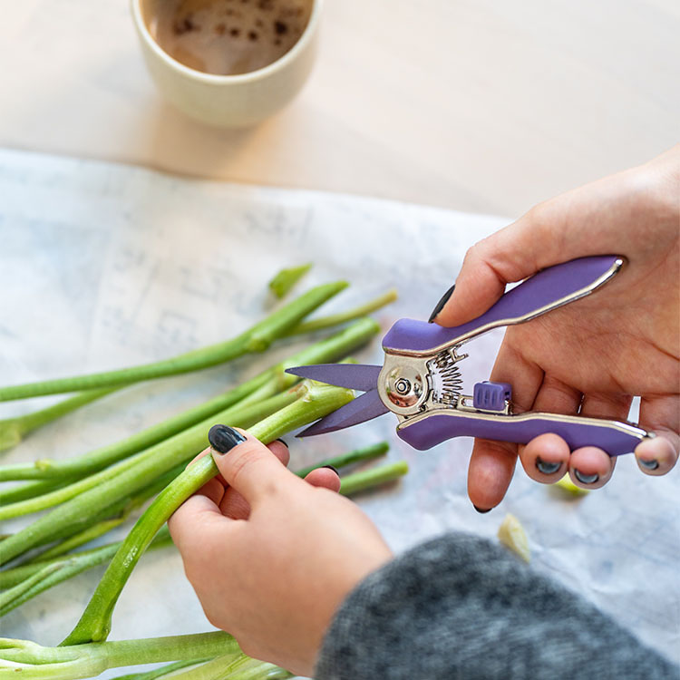 Floral shears