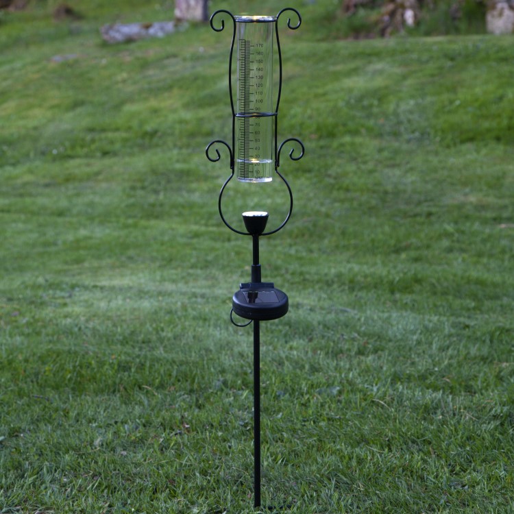 Rain gauge with solar lighting