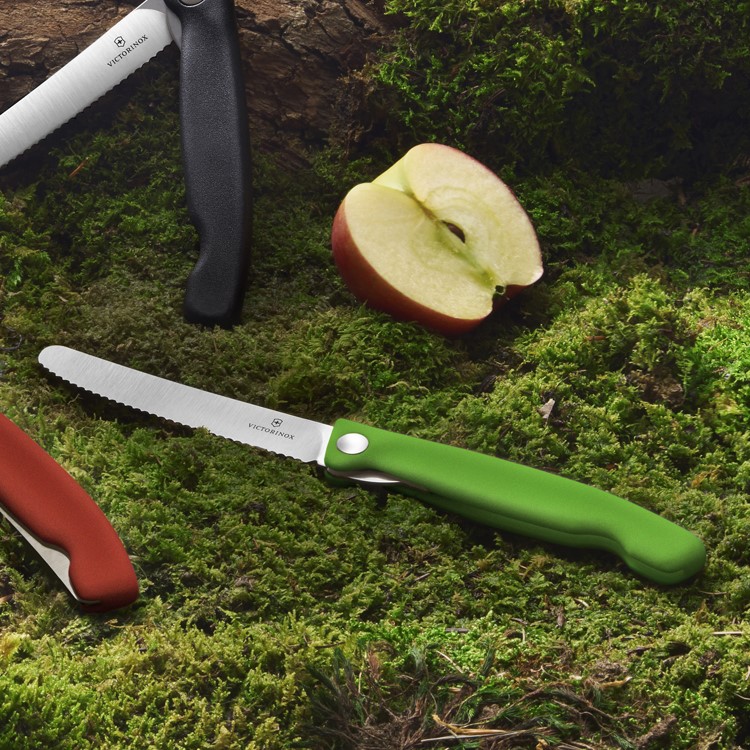 Folding picnic knife with serrated blade