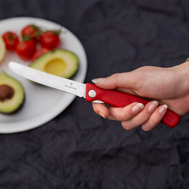 Foldable picnic knife