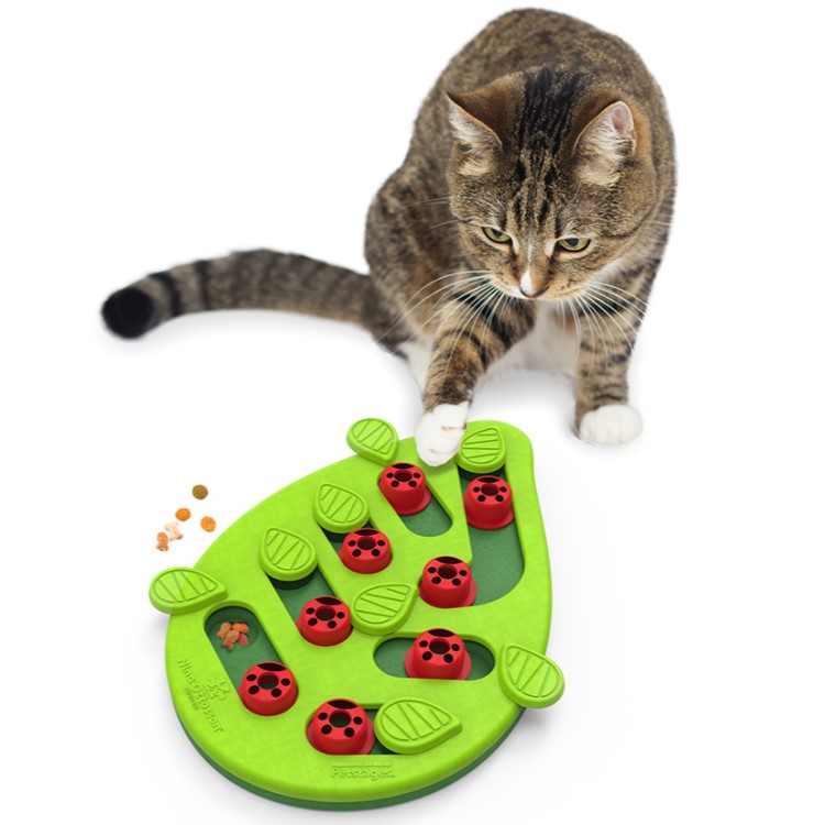 Activity toy for the cat