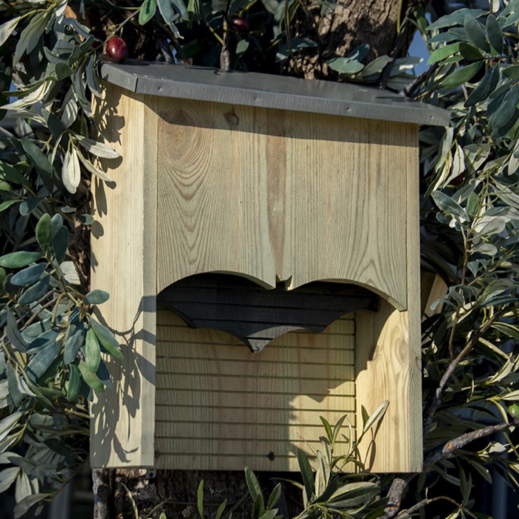 Bat roost