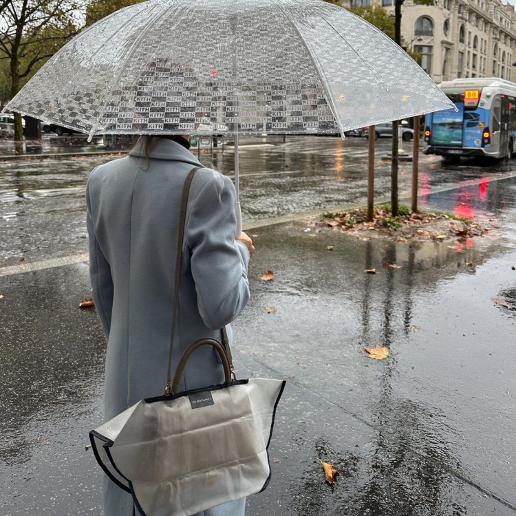 Rain cover for handbag