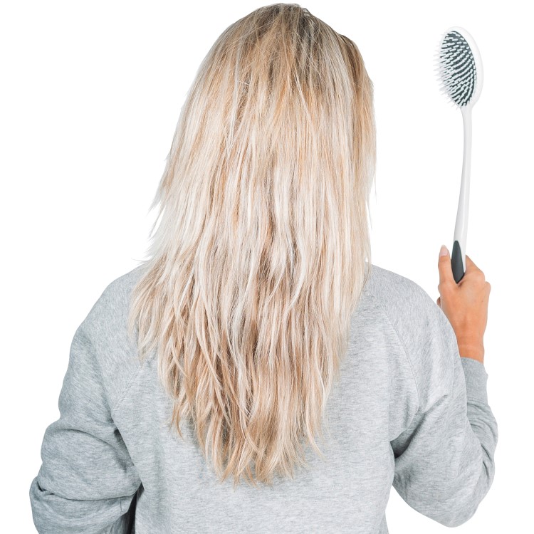 Hairbrush with long handle