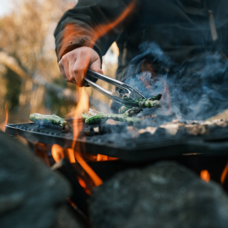 Satake reversible cast iron grill & frying plate