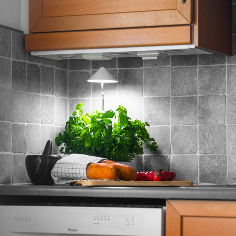 Herb pot with plant lamp