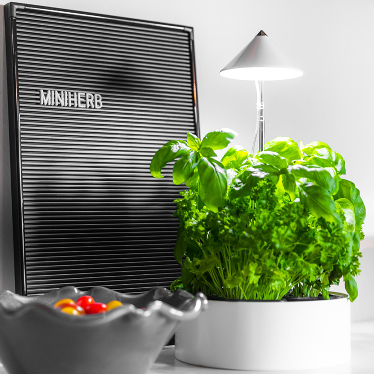 Herb pot with plant lamp