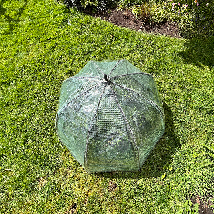 Plastic cover for net umbrella