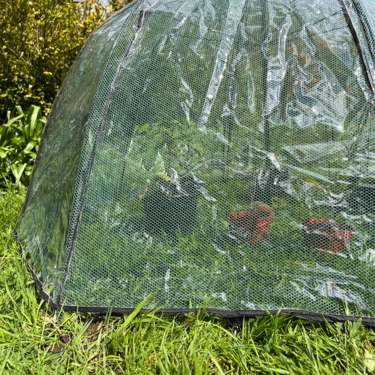 Plastic cover for net umbrella