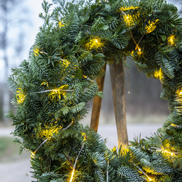 Transparent Fairy Lights Indoor and Outdoor