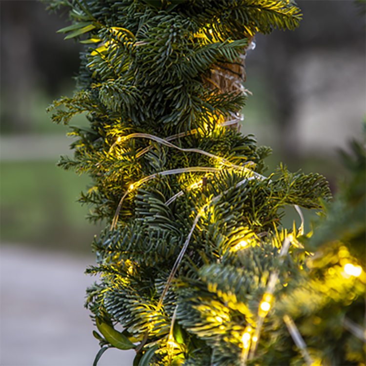 Transparent Fairy Lights Indoor and Outdoor