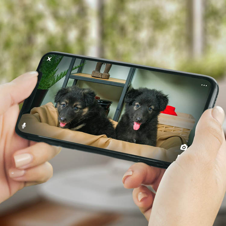 Pet camera, PetCube