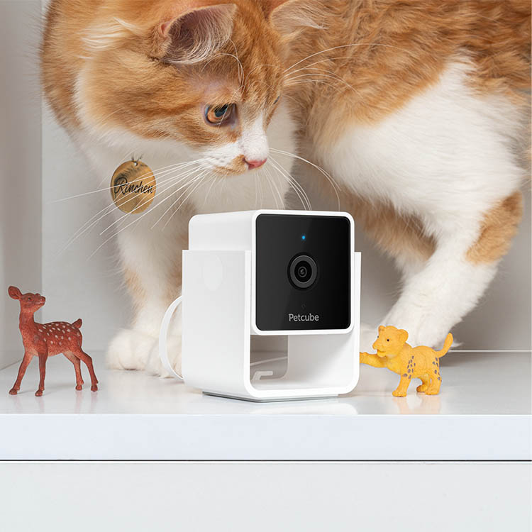 Pet camera, PetCube