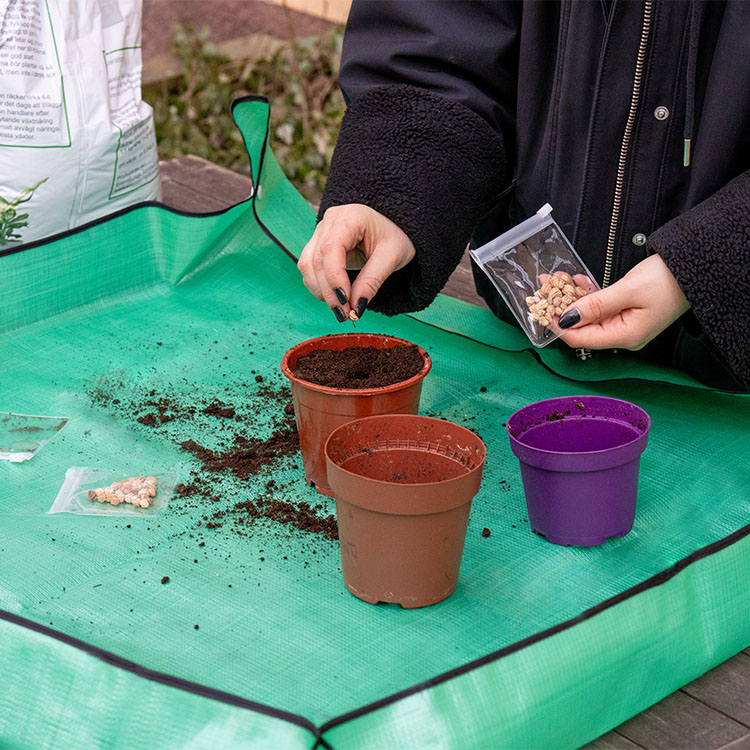 Outdoor planting cloth