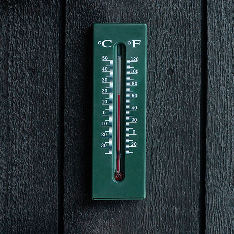 Thermometer and key holder