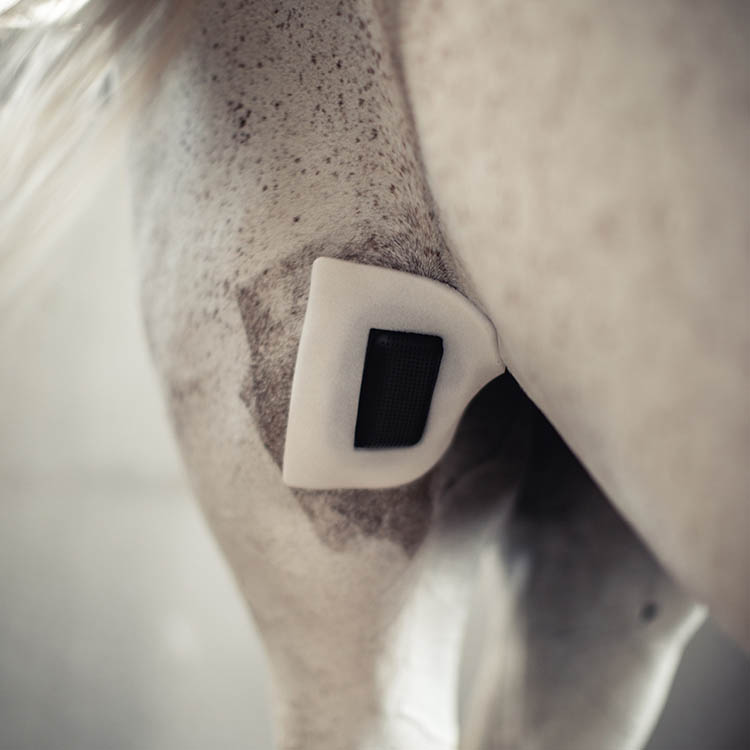 Extra attachment for horse plasters