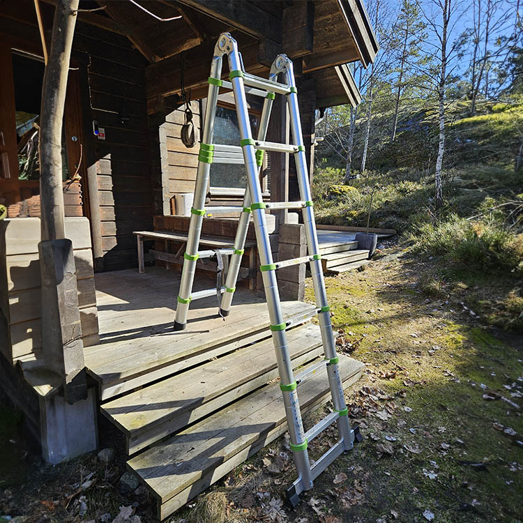 Telescopic ladder