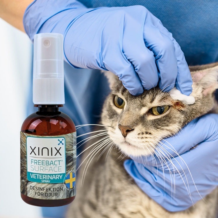 Disinfectant spray for pets, Xinix FreeBact Surface