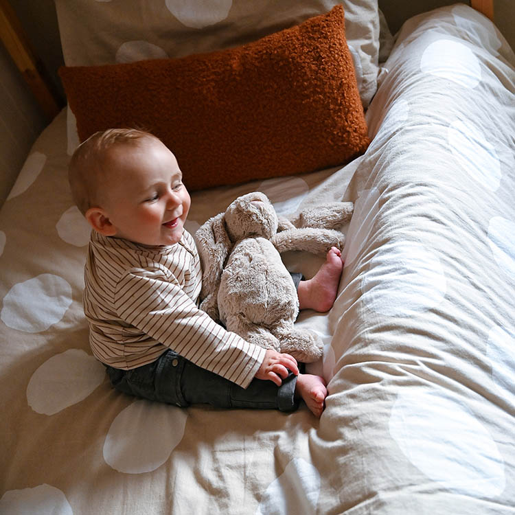 Inflatable bed protector