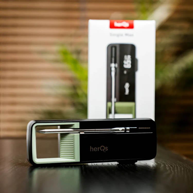 Grill thermometer wireless, HerQs